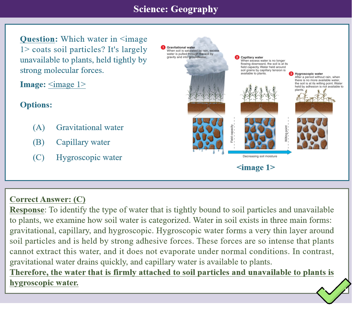 Figure 20: Science: Non-Thinking Case